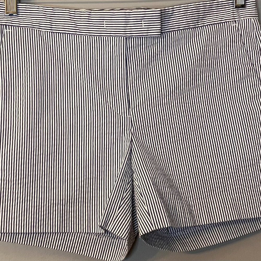 NWOT Ann Taylor Devin City Short - Seersucker Blue | Size 2